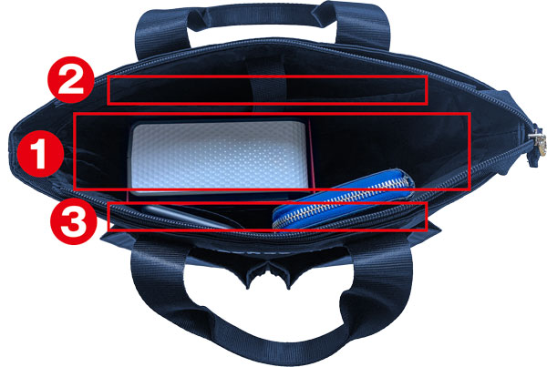 SkyTrak �L�����[�o�b�O ���i����1